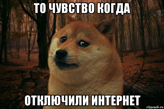 то чувство когда отключили интернет, Мем SAD DOGE