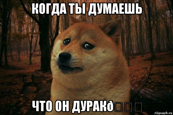 Мем SAD DOGE