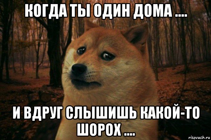 когда ты один дома .... и вдруг слышишь какой-то шорох ...., Мем SAD DOGE