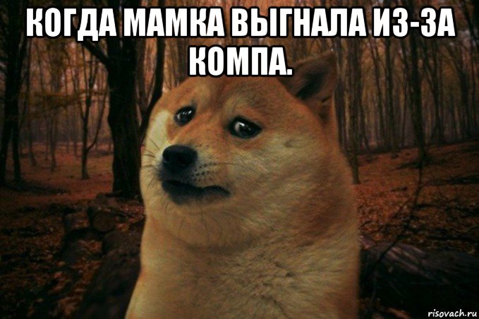 когда мамка выгнала из-за компа. , Мем SAD DOGE