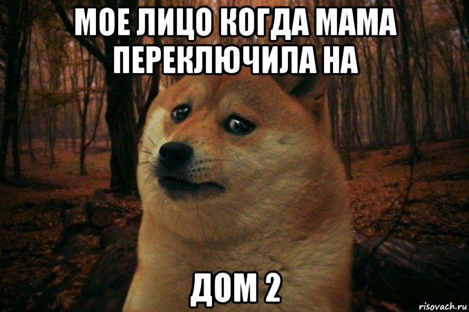 мое лицо когда мама переключила на дом 2, Мем SAD DOGE