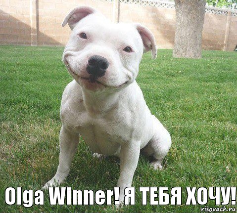 Olga Winner! Я ТЕБЯ ХОЧУ!, Комикс sadfg