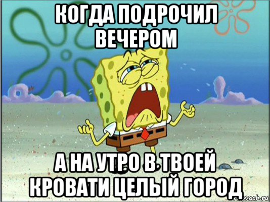 когда подрочил вечером а на утро в твоей кровати целый город, Мем Спанч Боб плачет