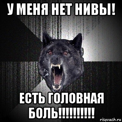 у меня нет нивы! есть головная боль!!!!!!!!!!, Мем Сумасшедший волк