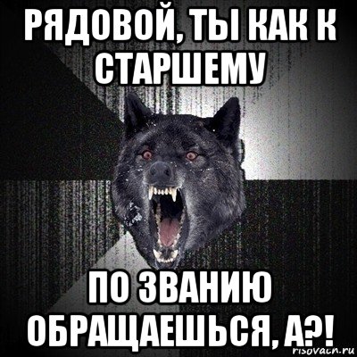 рядовой, ты как к старшему по званию обращаешься, а?!, Мем Сумасшедший волк