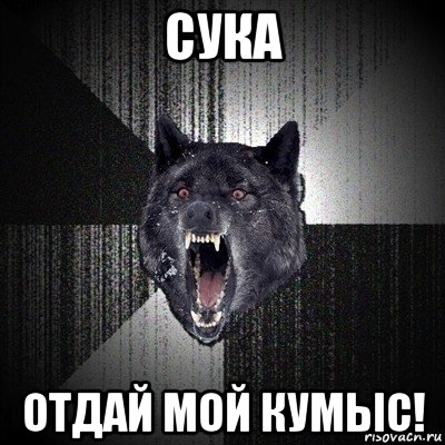 сука отдай мой кумыс!, Мем Сумасшедший волк