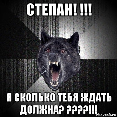 степан! !!! я сколько тебя ждать должна? ????!!!, Мем Сумасшедший волк