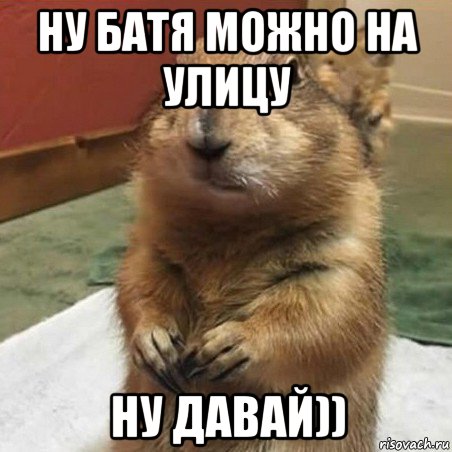 ну батя можно на улицу ну давай)), Мем Суслик спрашивает