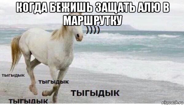 когда бежишь защать алю в маршрутку , Мем   Тыгыдык