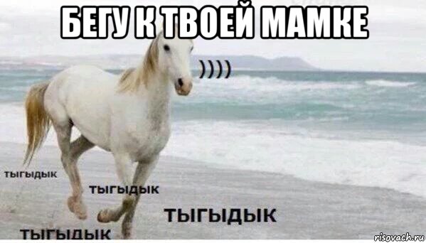 бегу к твоей мамке , Мем   Тыгыдык