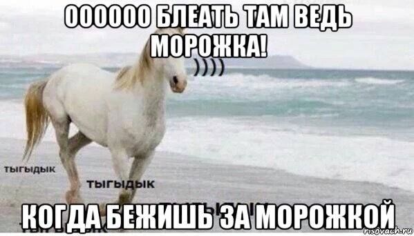 оооооо блеать там ведь морожка! когда бежишь за морожкой, Мем   Тыгыдык