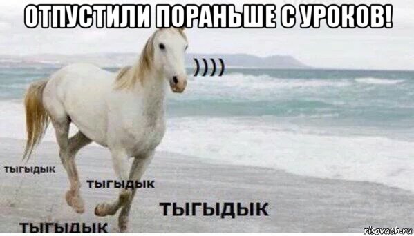 отпустили пораньше с уроков! , Мем   Тыгыдык