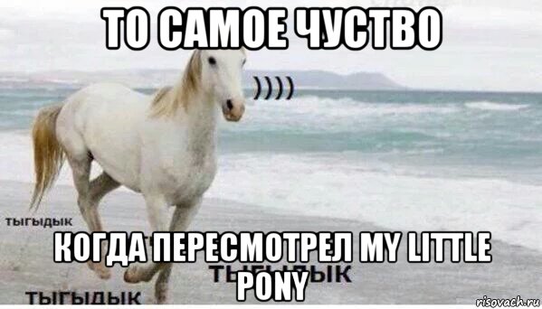 то самое чуство когда пересмотрел my little pony, Мем   Тыгыдык