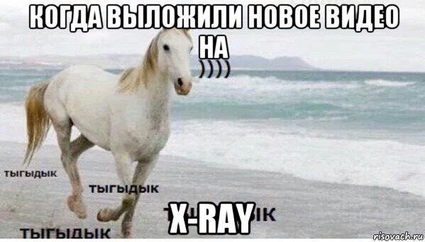 когда выложили новое видео на x-ray, Мем   Тыгыдык