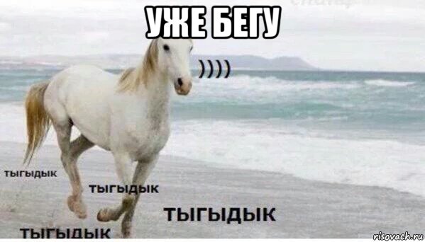 уже бегу , Мем   Тыгыдык