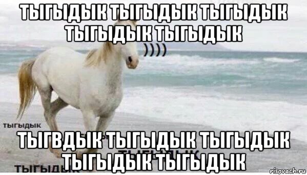 тыгыдык тыгыдык тыгыдык тыгыдык тыгыдык тыгвдык тыгыдык тыгыдык тыгыдык тыгыдык, Мем   Тыгыдык