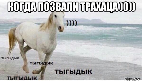 когда позвали трахаца )0)) 