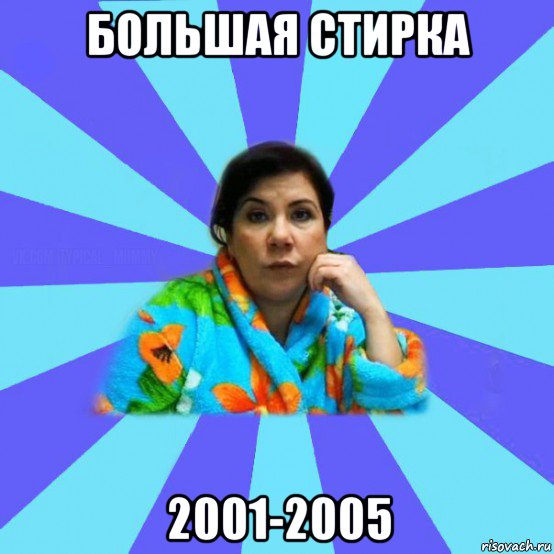 большая стирка 2001-2005, Мем типичная мама