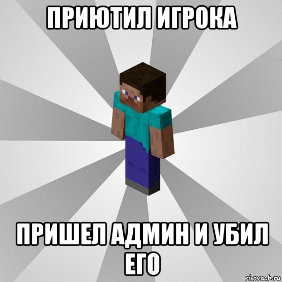 приютил игрока пришел админ и убил его, Мем Типичный игрок Minecraft