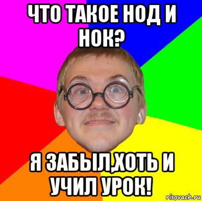 что такое нод и нок? я забыл,хоть и учил урок!, Мем Типичный ботан