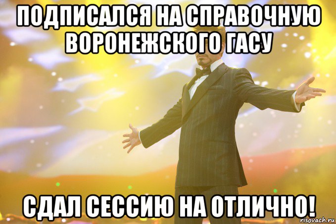 подписался на справочную воронежского гасу сдал сессию на отлично!, Мем Тони Старк (Роберт Дауни младший)