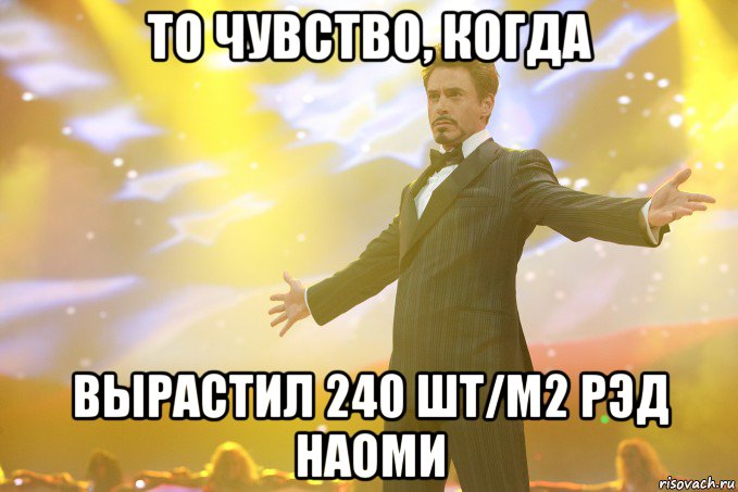 то чувство, когда вырастил 240 шт/м2 рэд наоми, Мем Тони Старк (Роберт Дауни младший)