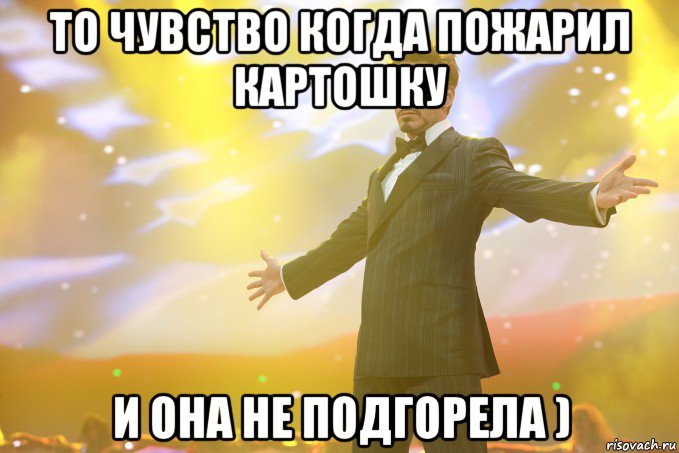 то чувство когда пожарил картошку и она не подгорела ), Мем Тони Старк (Роберт Дауни младший)