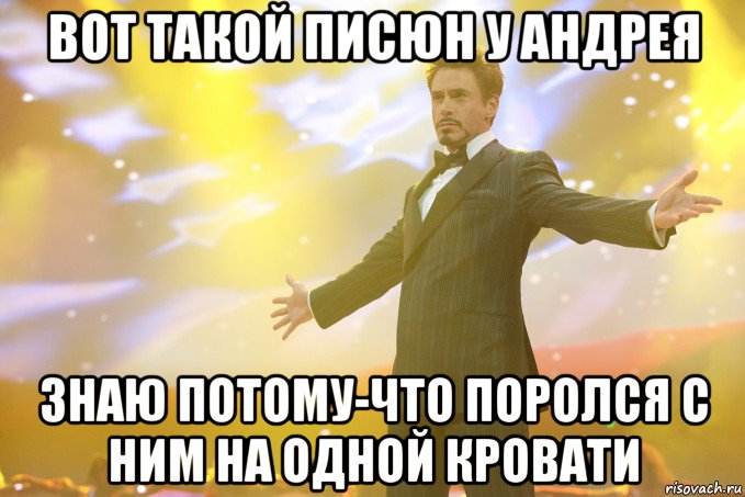 вот такой писюн у андрея знаю потому-что поролся с ним на одной кровати, Мем Тони Старк (Роберт Дауни младший)