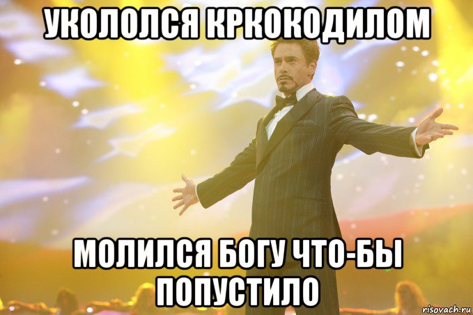 укололся кркокодилом молился богу что-бы попустило, Мем Тони Старк (Роберт Дауни младший)