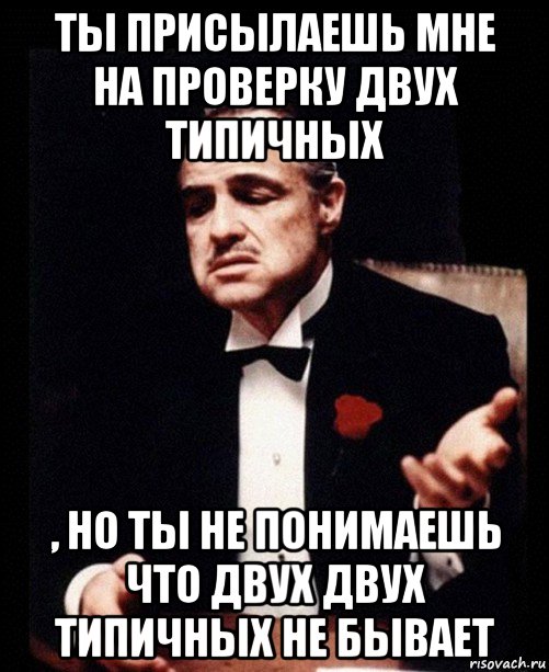 ты присылаешь мне на проверку двух типичных , но ты не понимаешь что двух двух типичных не бывает, Мем ты делаешь это без уважения