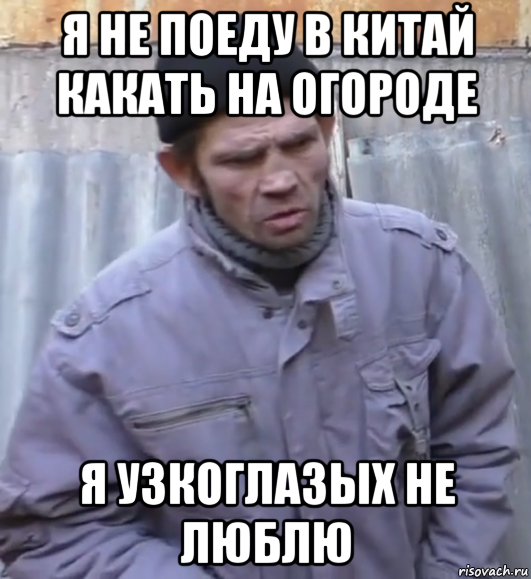 я не поеду в китай какать на огороде я узкоглазых не люблю, Мем  Ты втираешь мне какую то дичь