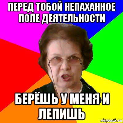 перед тобой непаханное поле деятельности берёшь у меня и лепишь, Мем Типичная училка