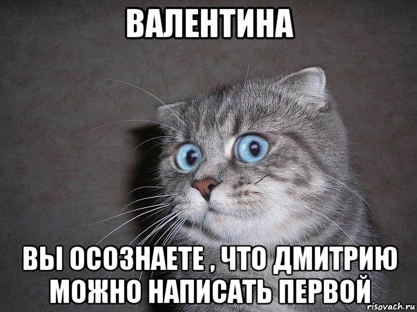 валентина вы осознаете , что дмитрию можно написать первой, Мем  удивлённый кот