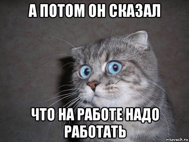 а потом он сказал что на работе надо работать, Мем  удивлённый кот