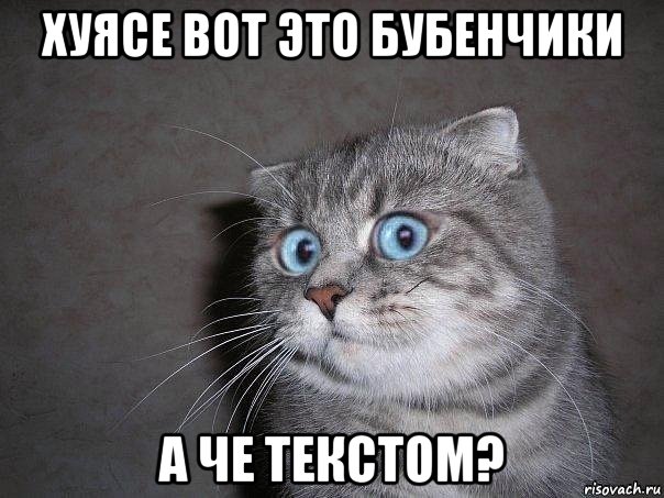 хуясе вот это бубенчики а че текстом?, Мем  удивлённый кот