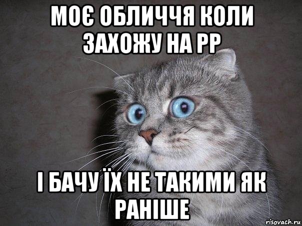 моє обличчя коли захожу на рр і бачу їх не такими як раніше, Мем  удивлённый кот