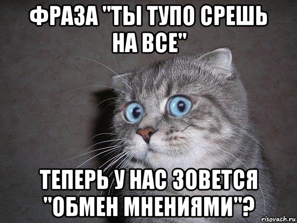 фраза "ты тупо срешь на все" теперь у нас зовется "обмен мнениями"?, Мем  удивлённый кот