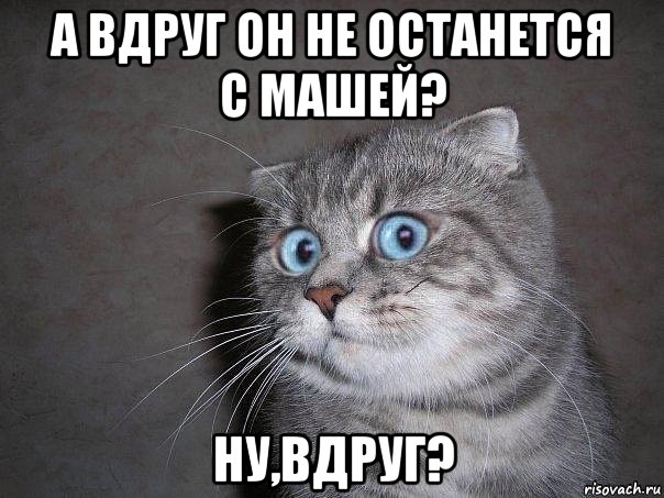 а вдруг он не останется с машей? ну,вдруг?, Мем  удивлённый кот