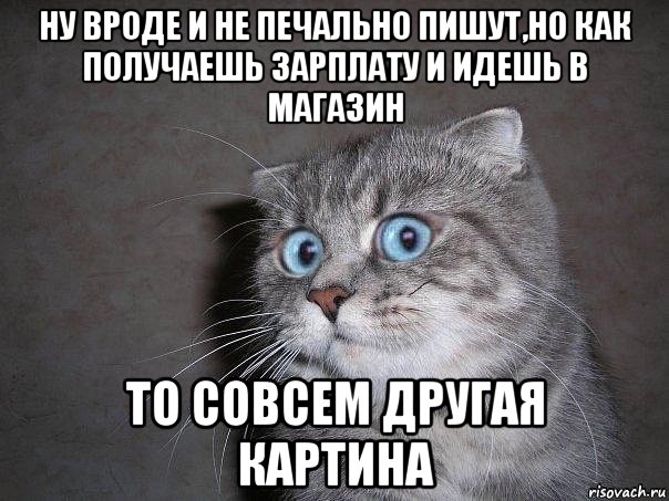 ну вроде и не печально пишут,но как получаешь зарплату и идешь в магазин то совсем другая картина, Мем  удивлённый кот