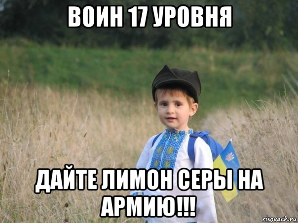 воин 17 уровня дайте лимон серы на армию!!!