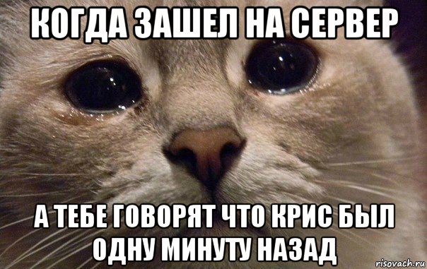 когда зашел на сервер а тебе говорят что крис был одну минуту назад, Мем   В мире грустит один котик