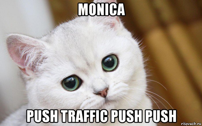 monica push traffic push push, Мем  В мире грустит один котик