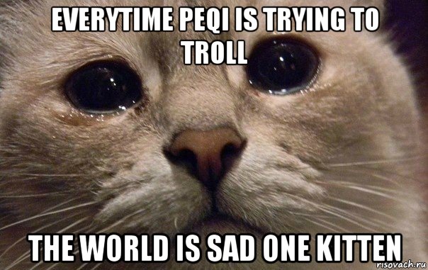everytime peqi is trying to troll the world is sad one kitten, Мем   В мире грустит один котик
