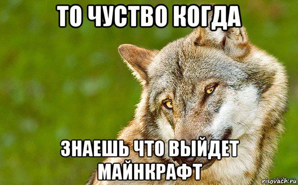 то чуство когда знаешь что выйдет майнкрафт, Мем   Volf