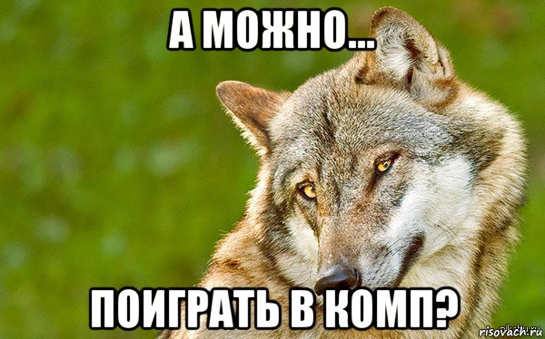 а можно... поиграть в комп?, Мем   Volf