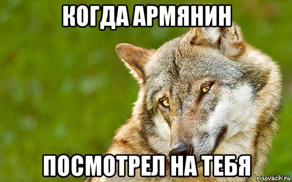 когда армянин посмотрел на тебя, Мем   Volf