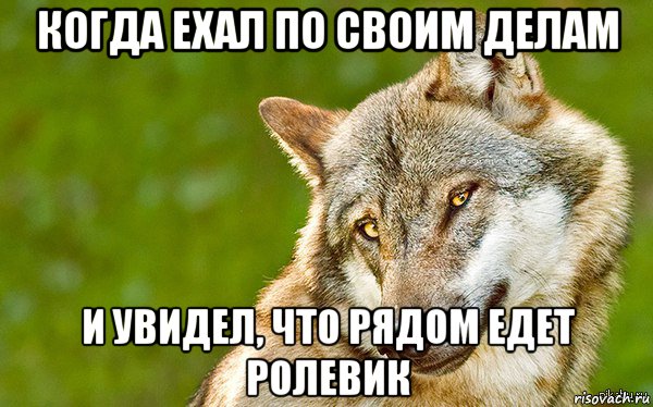 когда ехал по своим делам и увидел, что рядом едет ролевик, Мем   Volf