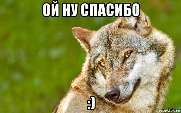 ой ну спасибо :), Мем   Volf