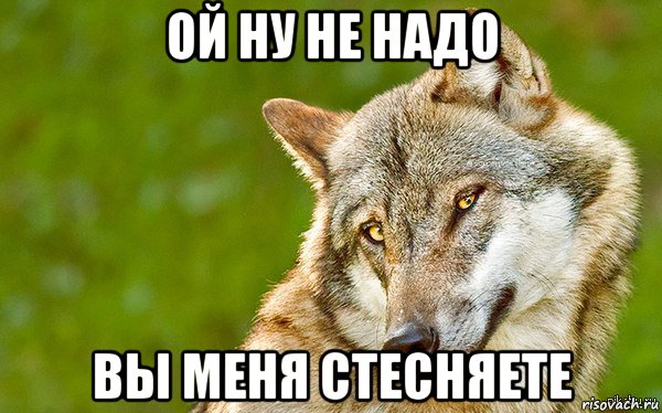 ой ну не надо вы меня стесняете, Мем   Volf