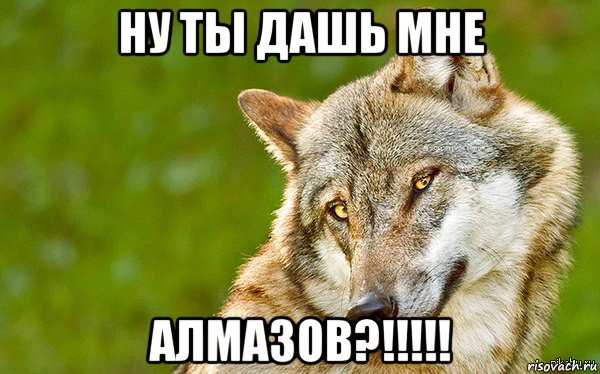 ну ты дашь мне алмазов?!!!!!, Мем   Volf